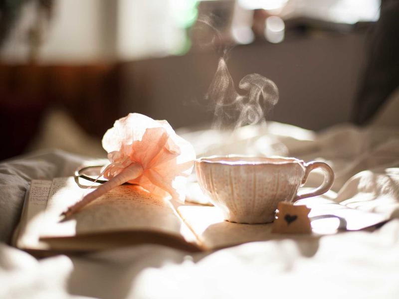 鼻尖上的雪<br>qyo4ufag.cn 冬日冷冽气息